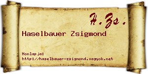 Haselbauer Zsigmond névjegykártya