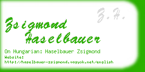 zsigmond haselbauer business card